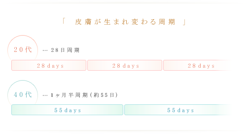 皮膚が生まれ変わる周期